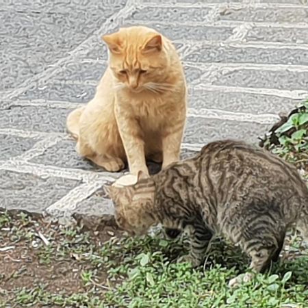 Alle Pendici Dell'Etna Ragalna Exteriör bild