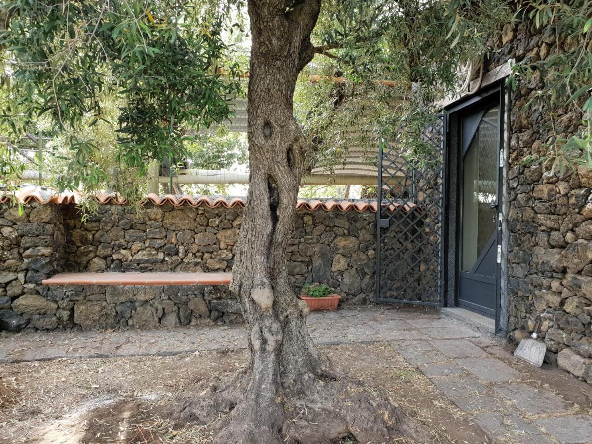 Alle Pendici Dell'Etna Ragalna Exteriör bild